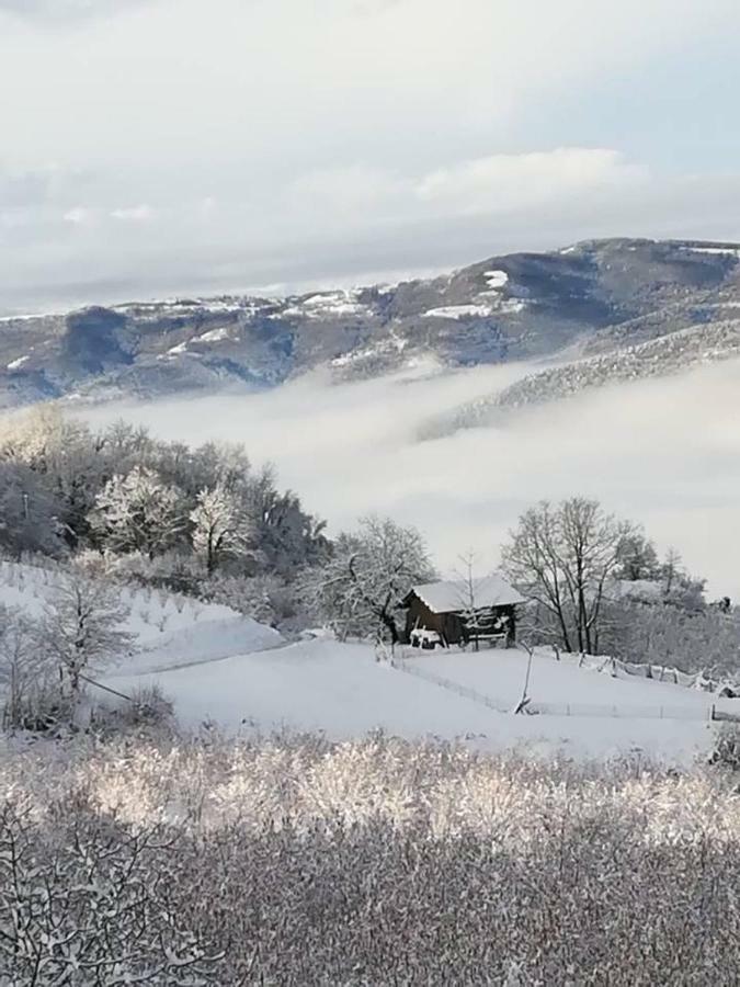 Levice Piccolo Nido In Alta Langa /Cosy Studio 아파트 외부 사진